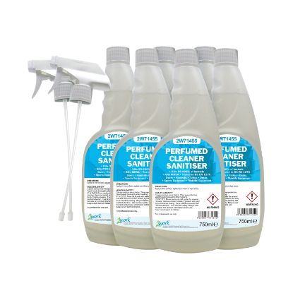 Picture of 2WORK CLEANER SANITISER 750ML PK6