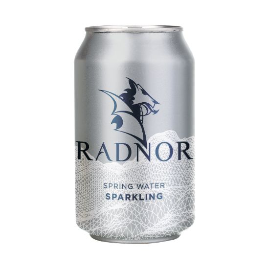 Picture of RADNOR SPRNG WTR SPKLG 330ML CAN P24